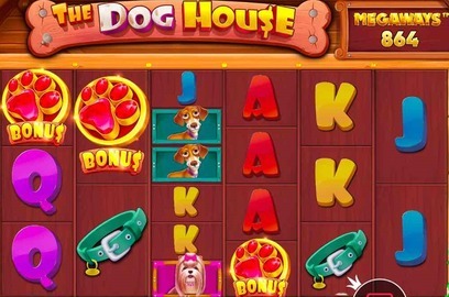 dog house slot